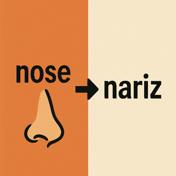 Cómo se dice nariz en inglés